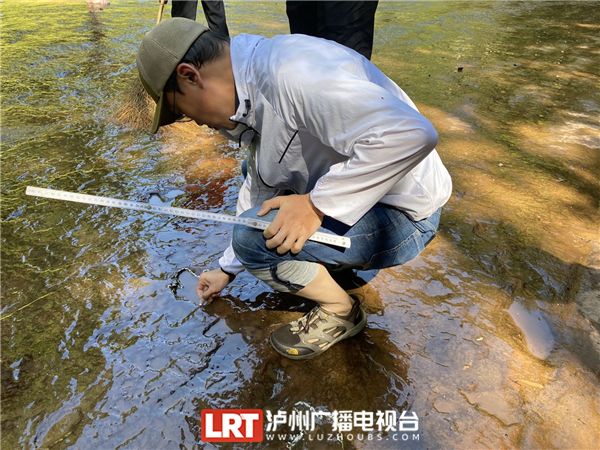 “恐龙”教授邢立达抵泸 考察古蔺恐龙足迹(图1)
